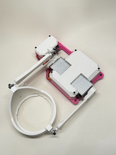 Pinky 02