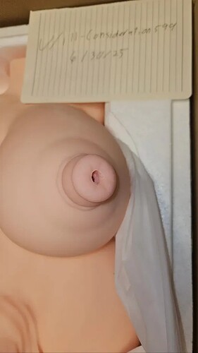 Doll 8