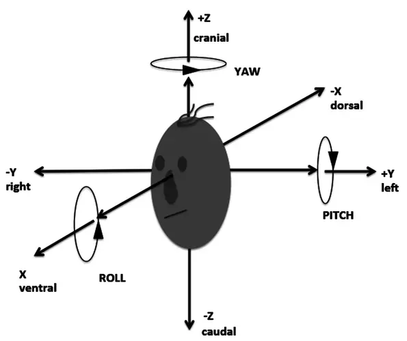 Linear-motions-and-rotations-can-describe-head-motion-in-different-axes-in-rotation-and