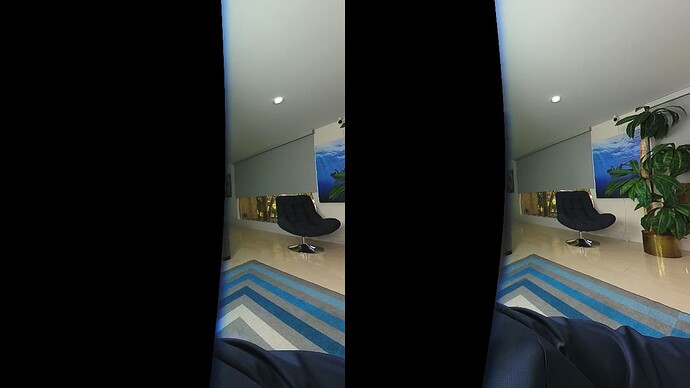 demo_200_fisheye