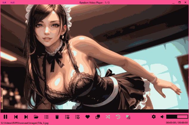 RVP-v1.46_KenBurnsEffect_Small