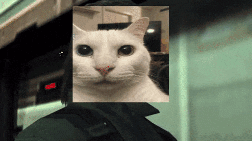 uncanny-cat